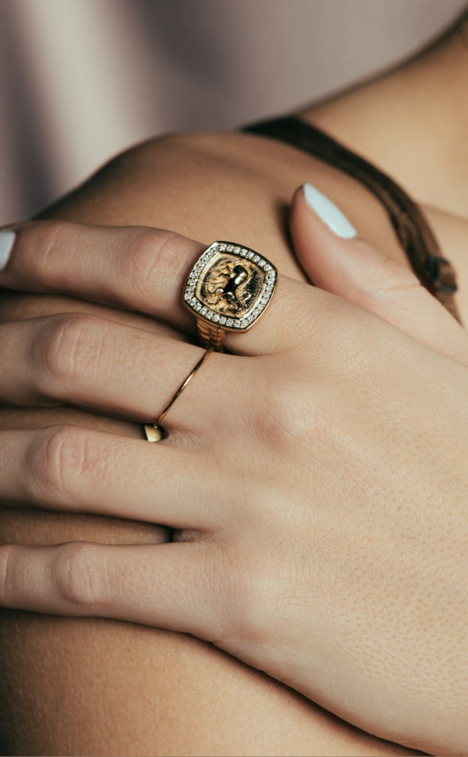 Finnhorse Ring, model