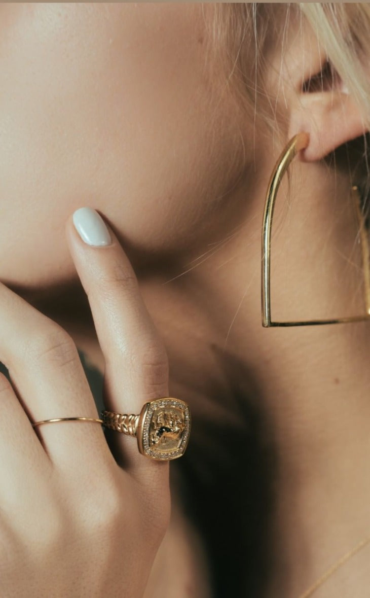 Finnhorse Ring, model