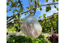 Ocean Treasure Pearl Necklace
