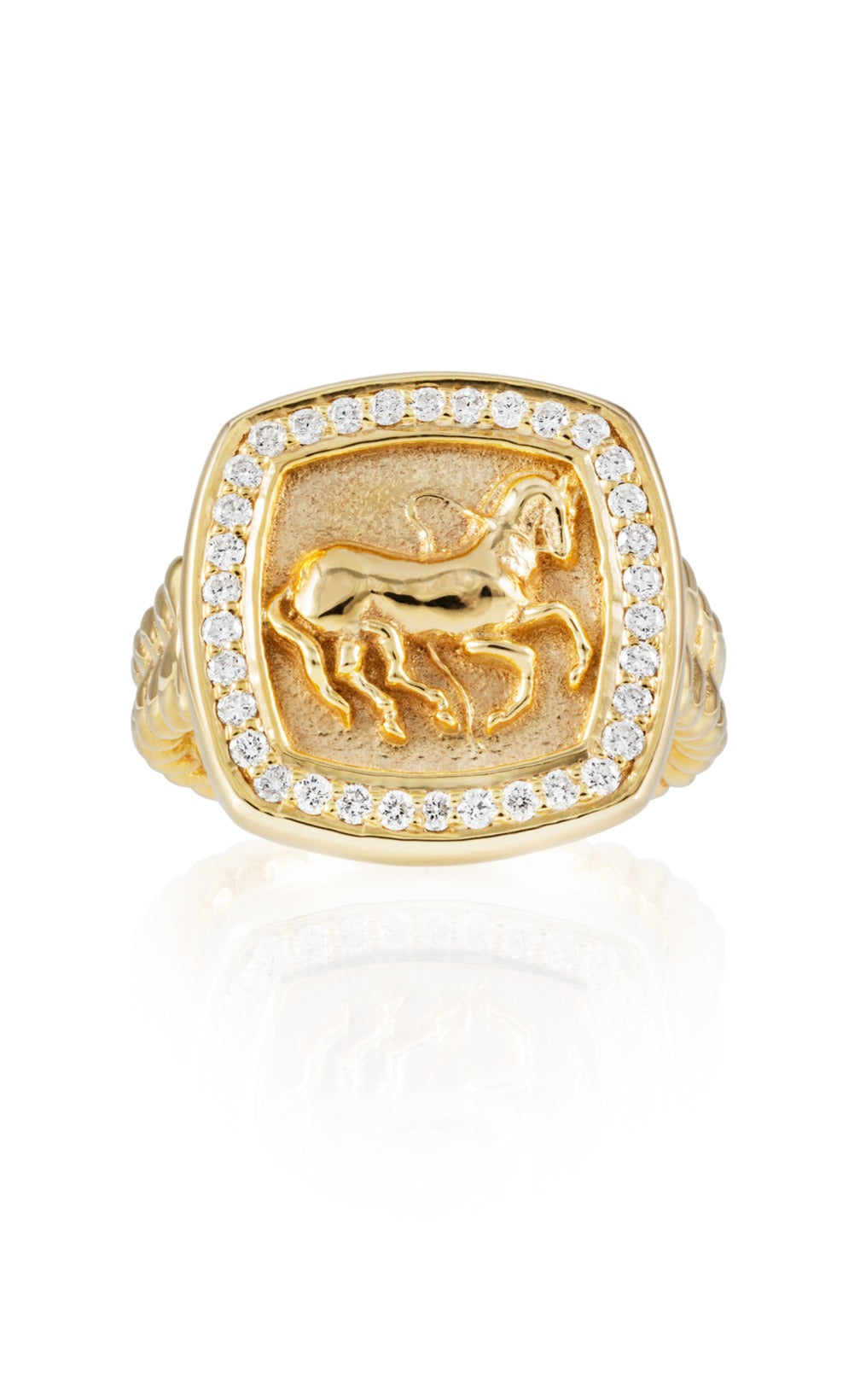 Finnhorse Ring, front