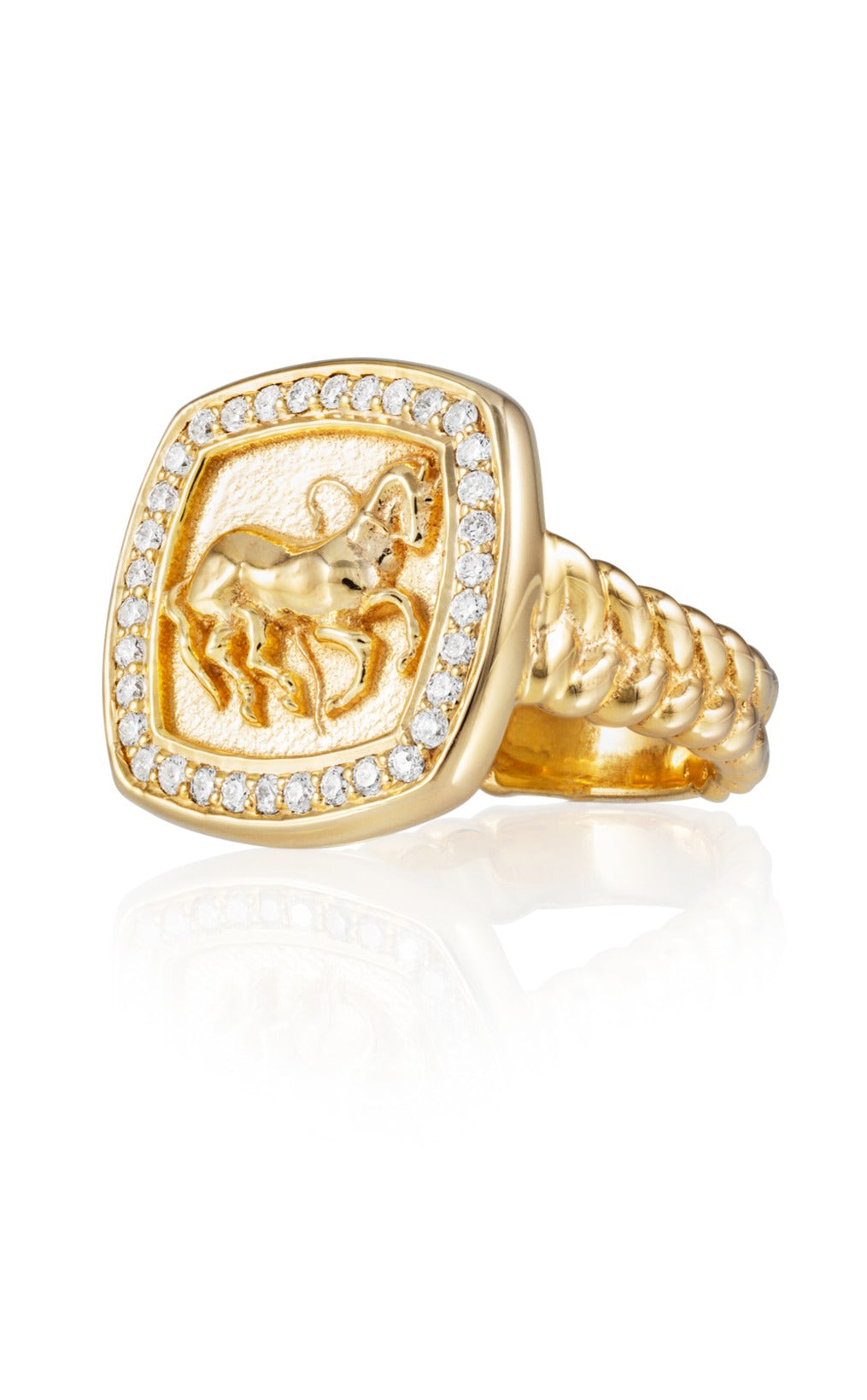 Finnhorse Ring, isometric