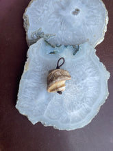 Fossilized Conch Bone Charm - Vincent Peach Fine Jewelry