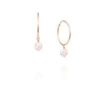 Everyday Biltmore Hoops - Vincent Peach Fine Jewelry