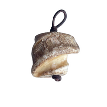 Fossilized Conch Bone Charm - Vincent Peach Fine Jewelry